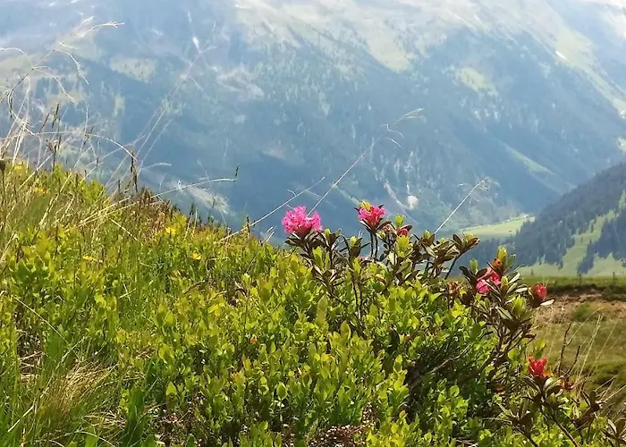 アパート Johanna